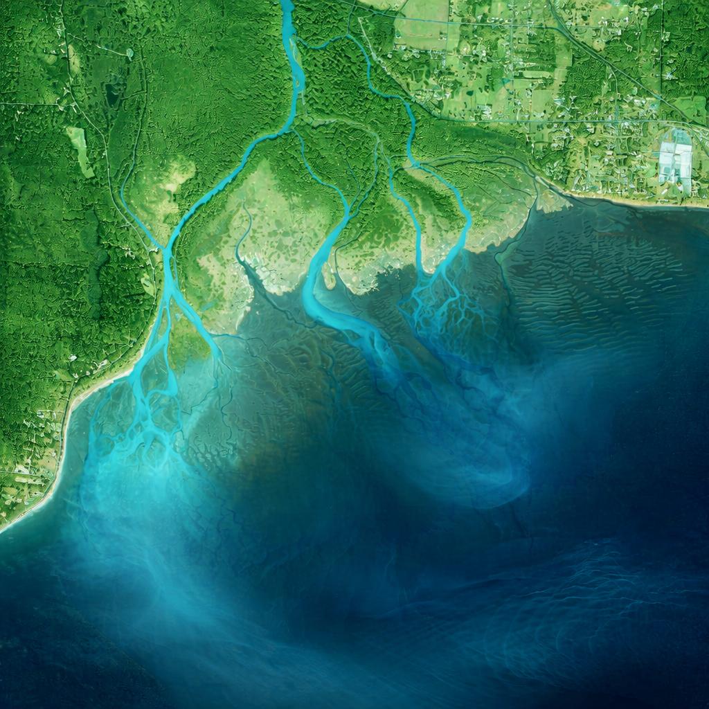 Color-adjusted near-infrared aerial imagery showing river channel patterns at a river/ocean intersection